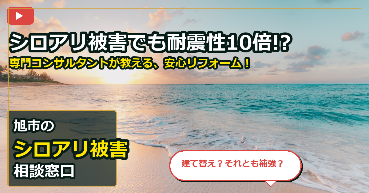 旭市でシロアリ被害を買取する前の判断軸 (checks)
