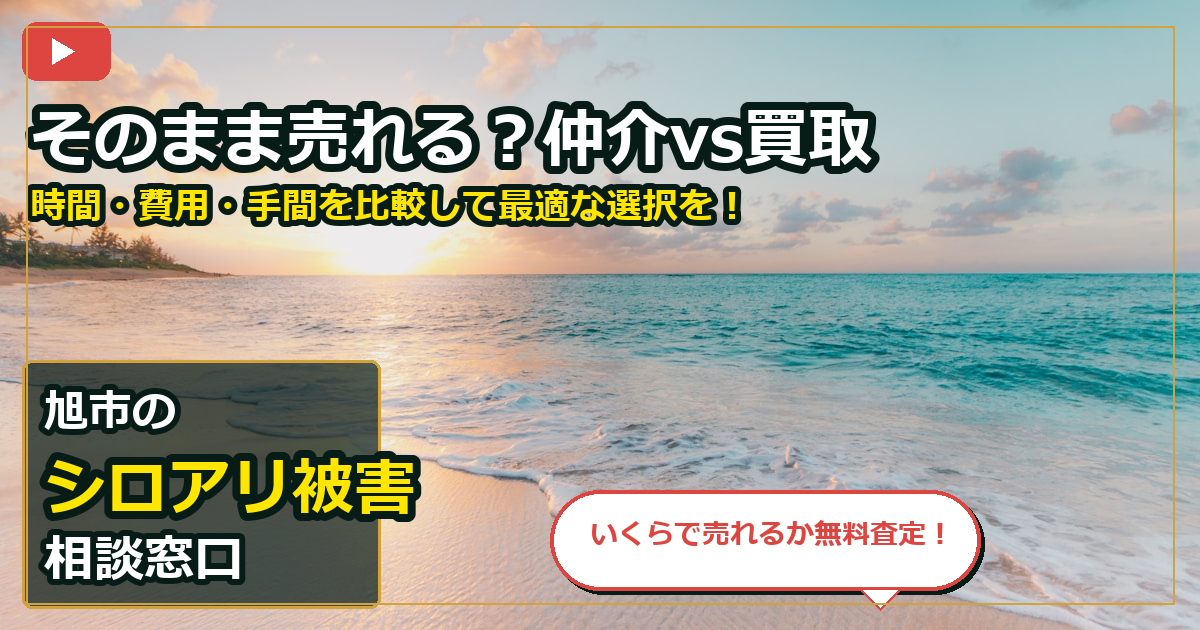 旭市でシロアリ被害を買取する前の判断軸 (routes)