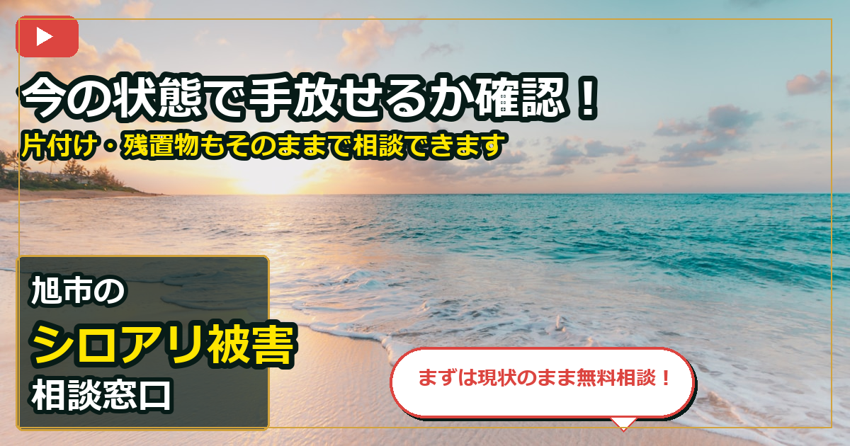 旭市でシロアリ被害を売却する前の判断軸 (contact)